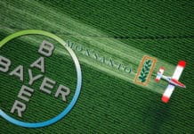 Legal Case Against Monsanto Cause Bayer Stocks To Plummet Bayer