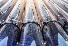 Latin American borrowers double down on their efforts for sustainable finance