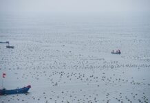 China, World’s Largest Seafood Producer, Ratifies WTO Deal on Fisheries Subsidies