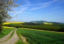 The European Union Strives to Close the Green Energy Gap With Global Competitors